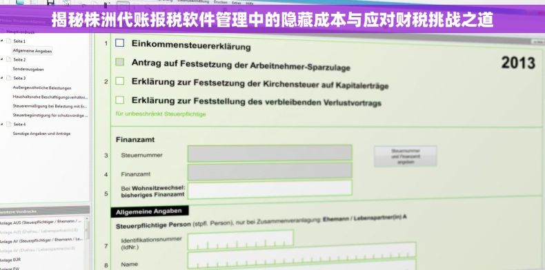 揭秘株洲代账报税软件管理中的隐藏成本与应对财税挑战之道