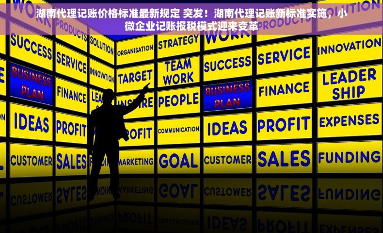 湖南代理记账价格标准最新规定 突发！湖南代理记账新标准实施，小微企业记账报税模式迎来变革