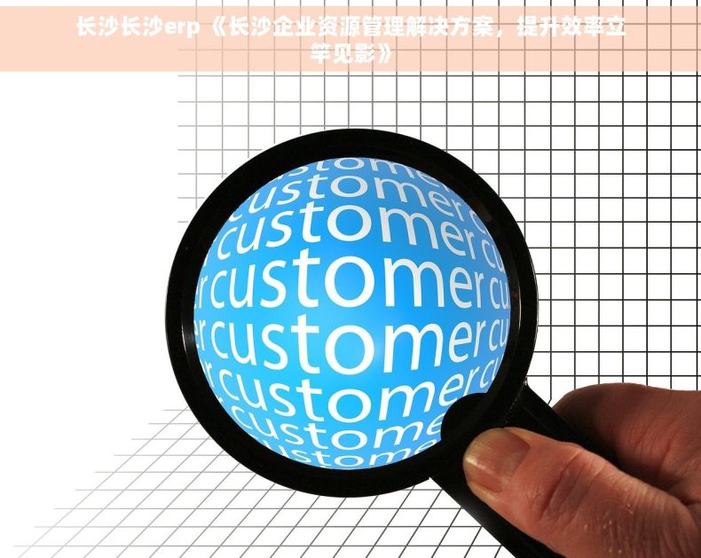 长沙长沙erp 《长沙企业资源管理解决方案，提升效率立竿见影》