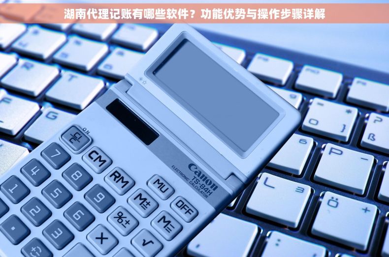 湖南代理记账有哪些软件？功能优势与操作步骤详解