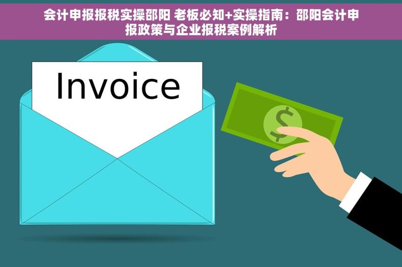 会计申报报税实操邵阳 老板必知+实操指南：邵阳会计申报政策与企业报税案例解析
