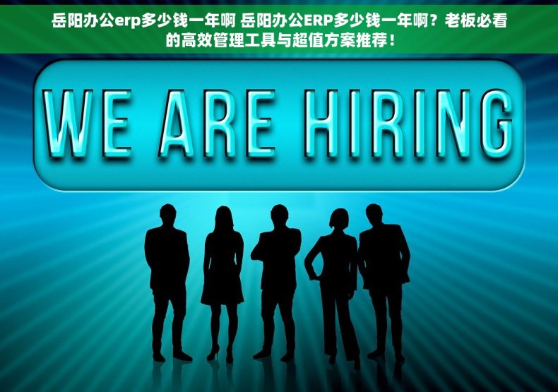 岳阳办公erp多少钱一年啊 岳阳办公ERP多少钱一年啊？老板必看的高效管理工具与超值方案推荐！