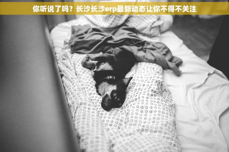 你听说了吗？长沙长沙erp最新动态让你不得不关注