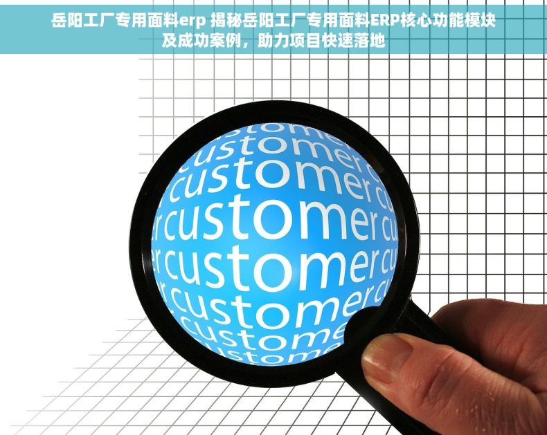 岳阳工厂专用面料erp 揭秘岳阳工厂专用面料ERP核心功能模块及成功案例，助力项目快速落地