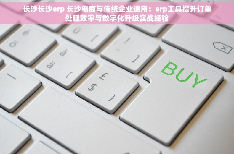 长沙长沙erp 长沙电商与传统企业通用：erp工具提升订单处理效率与数字化升级实战经验