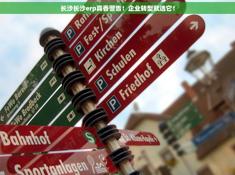 长沙长沙erp真香警告！企业转型就选它！