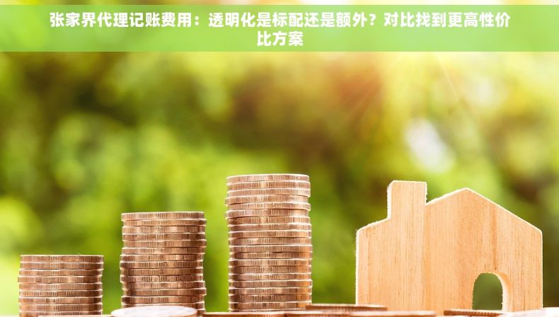 张家界代理记账费用：透明化是标配还是额外？对比找到更高性价比方案