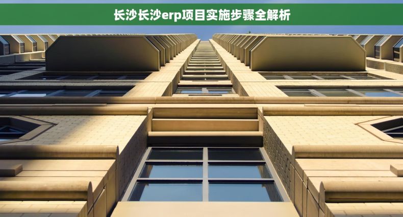 长沙长沙erp项目实施步骤全解析