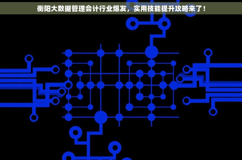 衡阳大数据管理会计行业爆发，实用技能提升攻略来了！