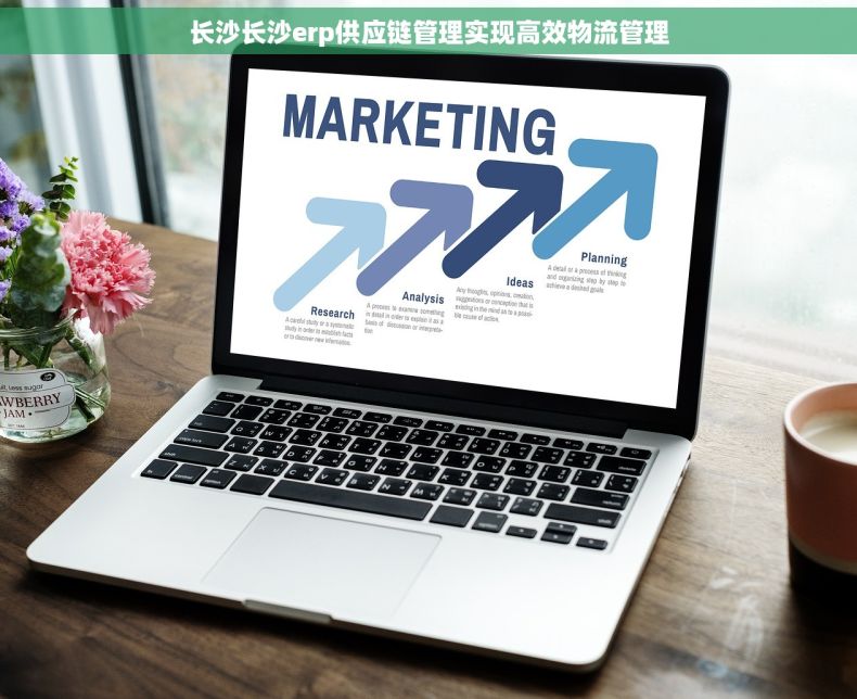 长沙长沙erp供应链管理实现高效物流管理
