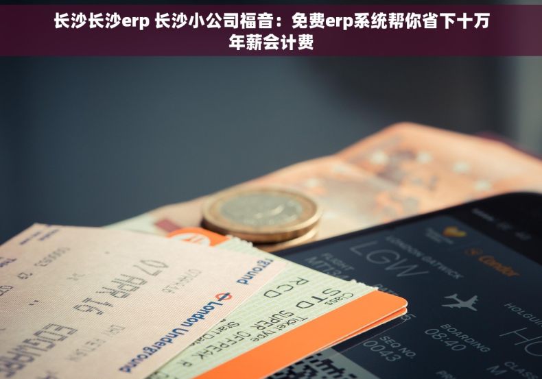 长沙长沙erp 长沙小公司福音：免费erp系统帮你省下十万年薪会计费