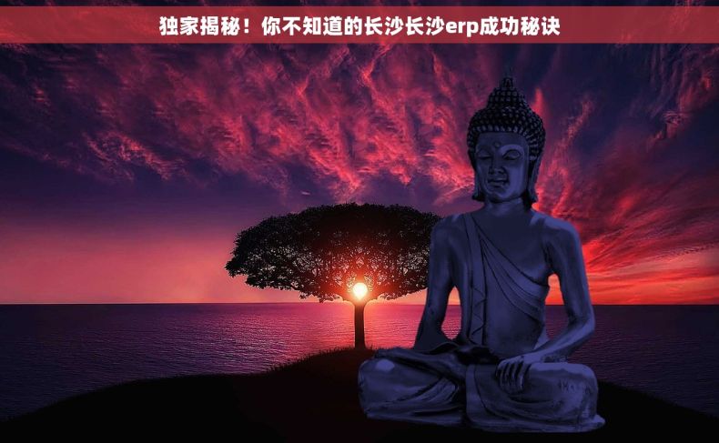 独家揭秘！你不知道的长沙长沙erp成功秘诀