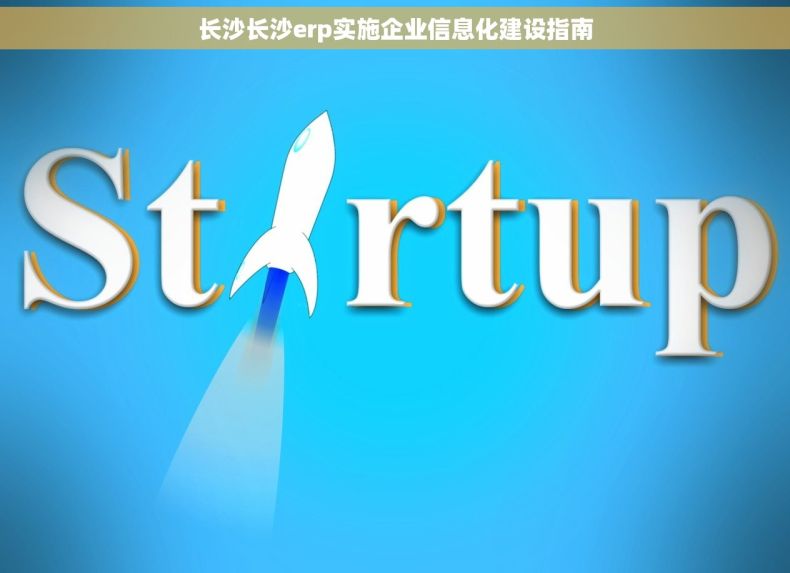 长沙长沙erp实施企业信息化建设指南