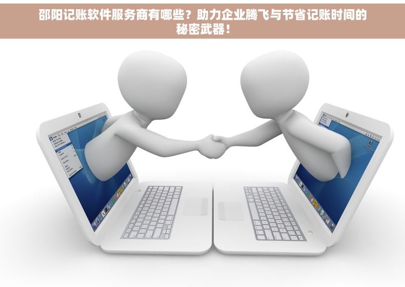 邵阳记账软件服务商有哪些？助力企业腾飞与节省记账时间的秘密武器！