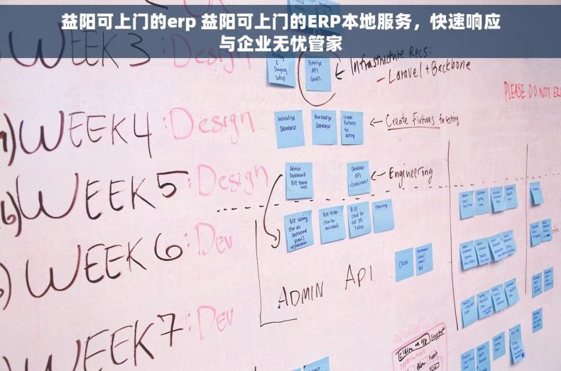 益阳可上门的erp 益阳可上门的ERP本地服务，快速响应与企业无忧管家