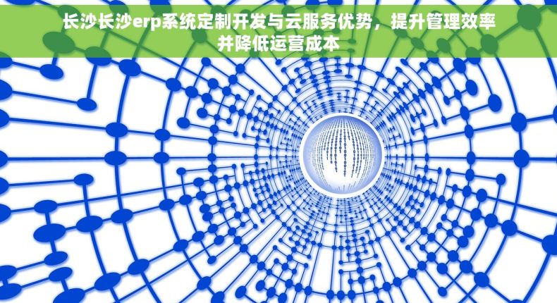长沙长沙erp系统定制开发与云服务优势，提升管理效率并降低运营成本