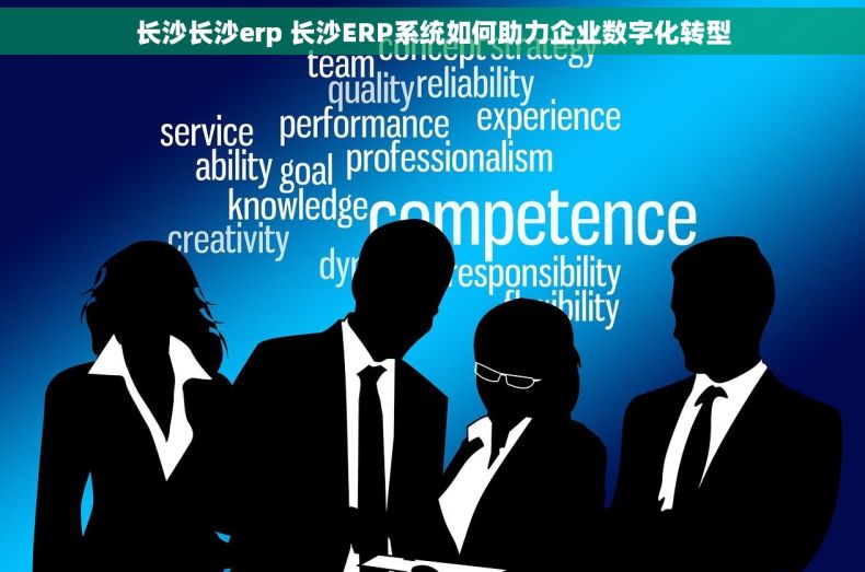 长沙长沙erp 长沙ERP系统如何助力企业数字化转型