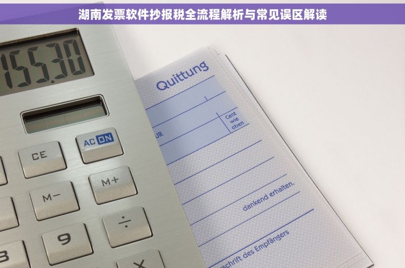 湖南发票软件抄报税全流程解析与常见误区解读