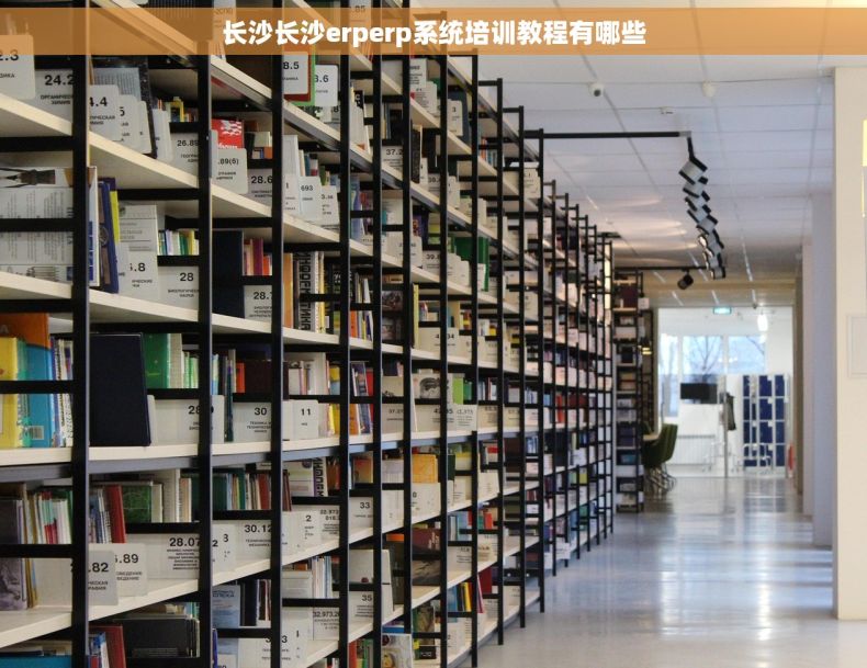 长沙长沙erperp系统培训教程有哪些