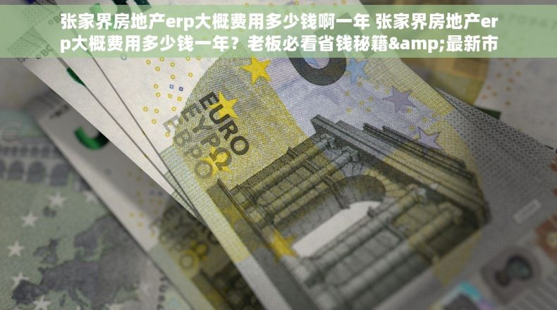 张家界房地产erp大概费用多少钱啊一年 张家界房地产erp大概费用多少钱一年？老板必看省钱秘籍&最新市场行情！