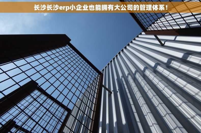 长沙长沙erp小企业也能拥有大公司的管理体系！