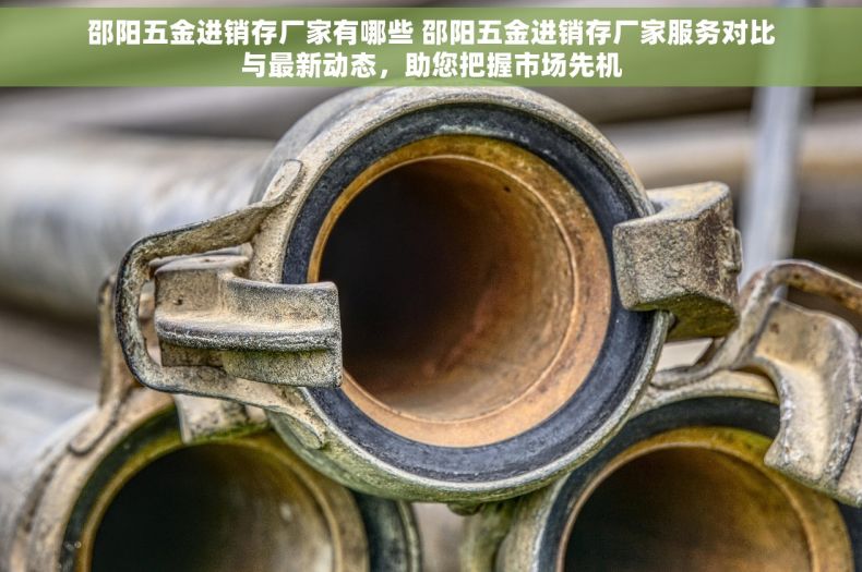邵阳五金进销存厂家有哪些 邵阳五金进销存厂家服务对比与最新动态，助您把握市场先机