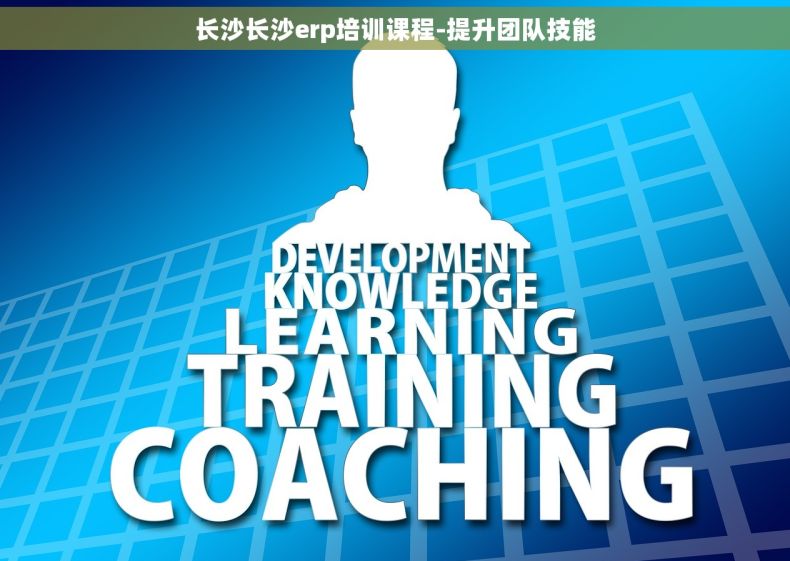 长沙长沙erp培训课程-提升团队技能