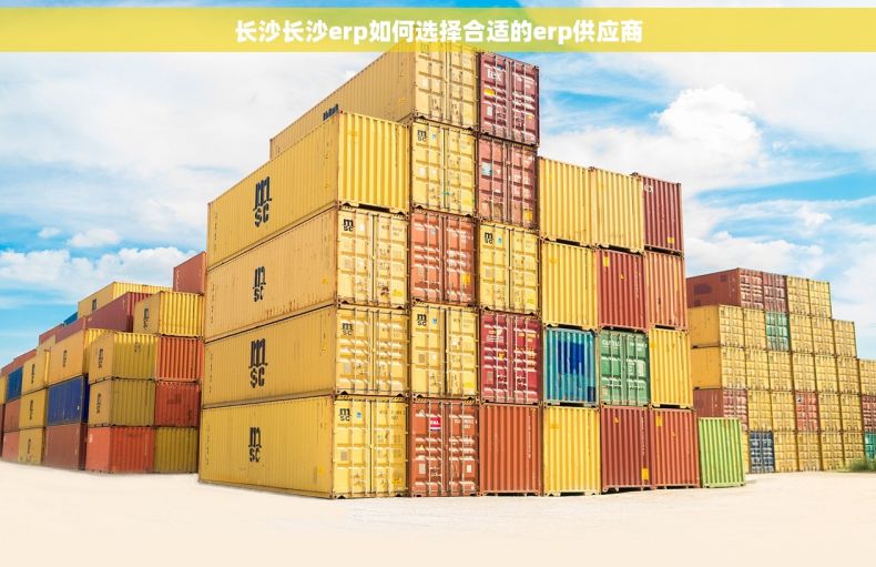 长沙长沙erp如何选择合适的erp供应商