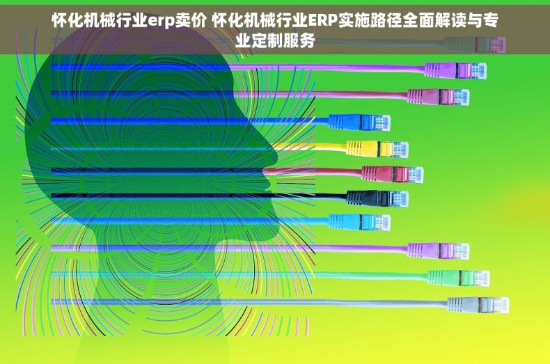 怀化机械行业erp卖价 怀化机械行业ERP实施路径全面解读与专业定制服务