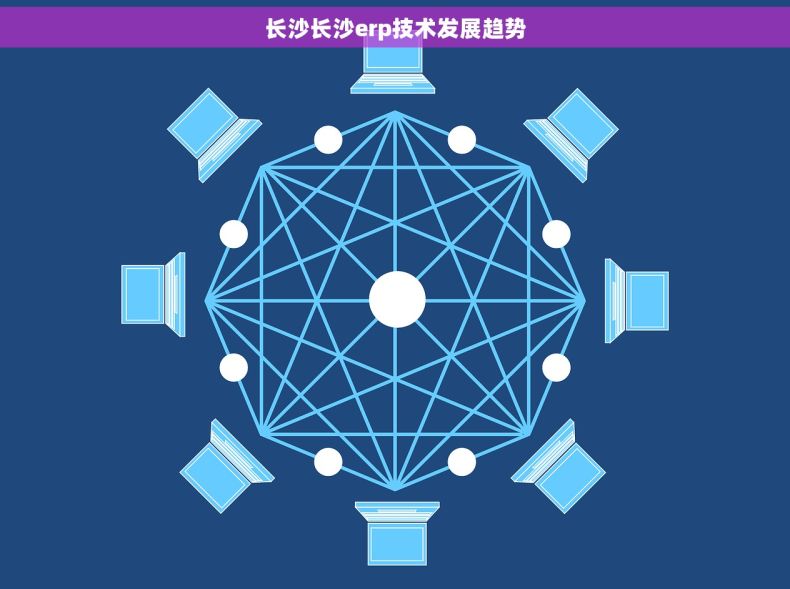 长沙长沙erp技术发展趋势