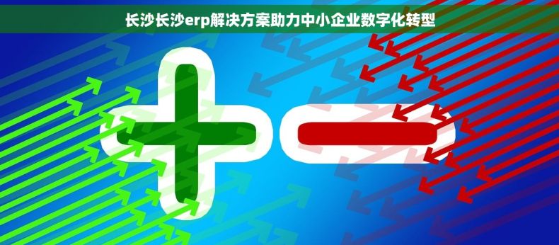 长沙长沙erp解决方案助力中小企业数字化转型