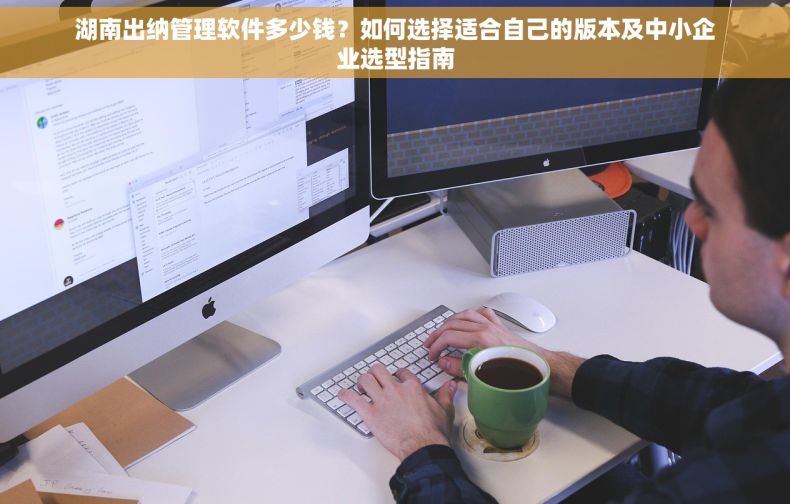 湖南出纳管理软件多少钱？如何选择适合自己的版本及中小企业选型指南