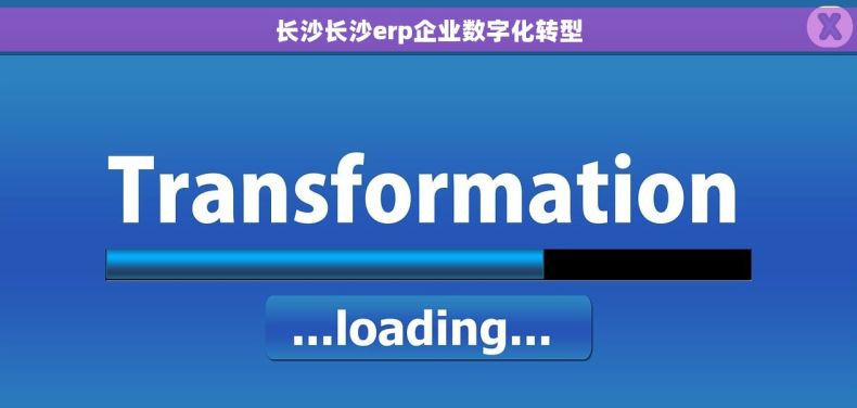 长沙长沙erp企业数字化转型