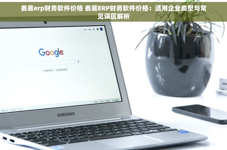 娄底erp财务软件价格 娄底ERP财务软件价格：适用企业类型与常见误区解析