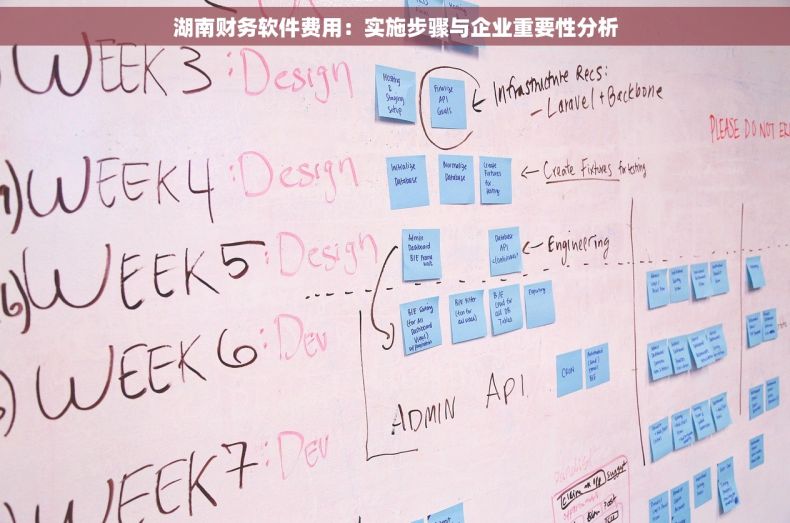 湖南财务软件费用：实施步骤与企业重要性分析
