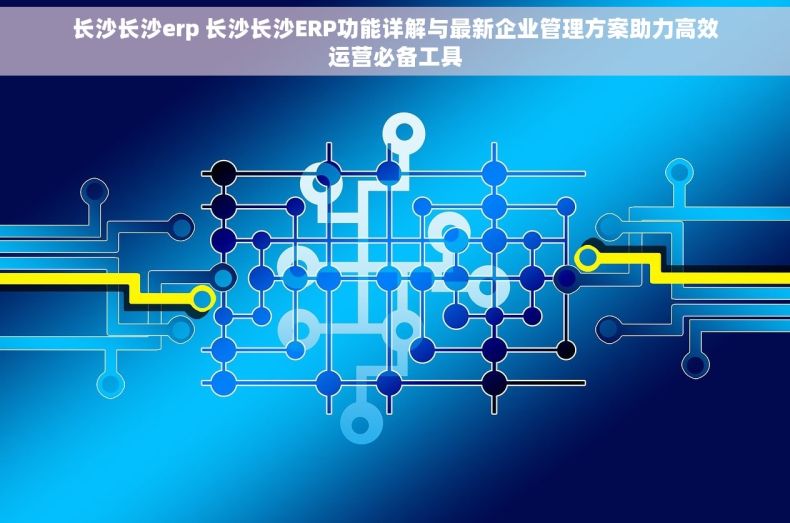 长沙长沙erp 长沙长沙ERP功能详解与最新企业管理方案助力高效运营必备工具