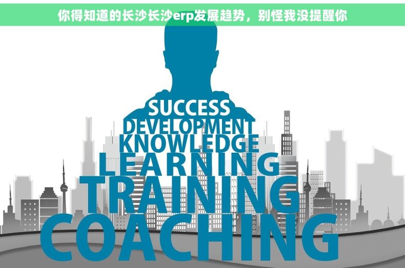 你得知道的长沙长沙erp发展趋势，别怪我没提醒你
