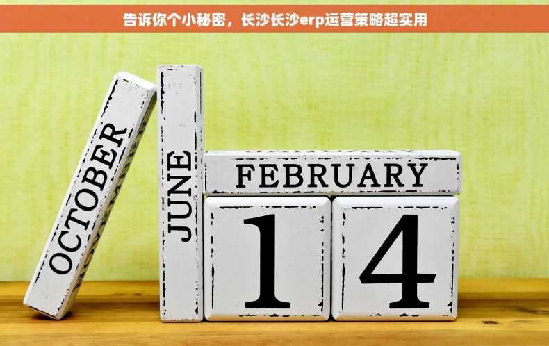 告诉你个小秘密，长沙长沙erp运营策略超实用