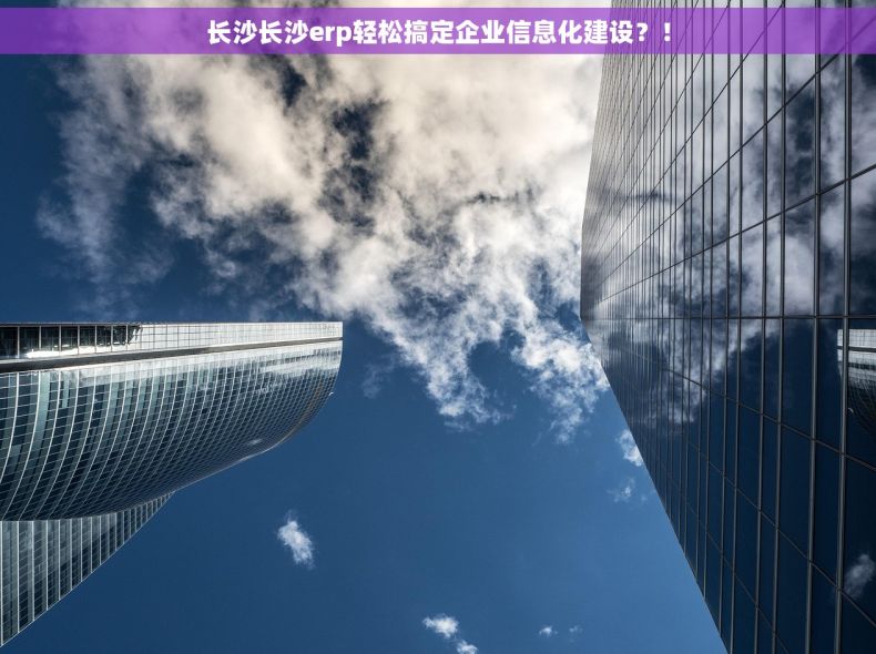 长沙长沙erp轻松搞定企业信息化建设？！