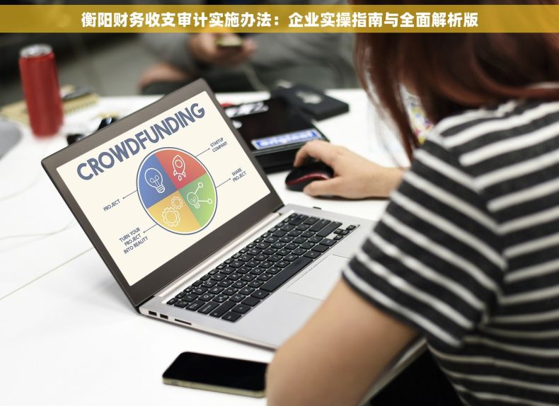 衡阳财务收支审计实施办法：企业实操指南与全面解析版