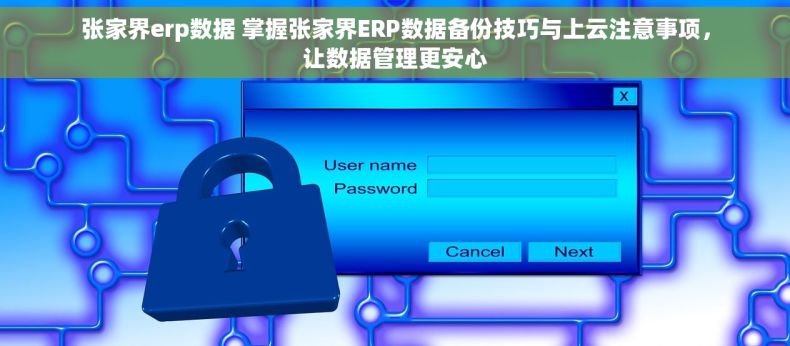 张家界erp数据 掌握张家界ERP数据备份技巧与上云注意事项，让数据管理更安心