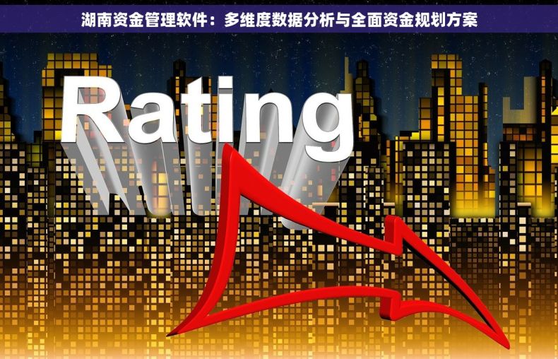 湖南资金管理软件：多维度数据分析与全面资金规划方案