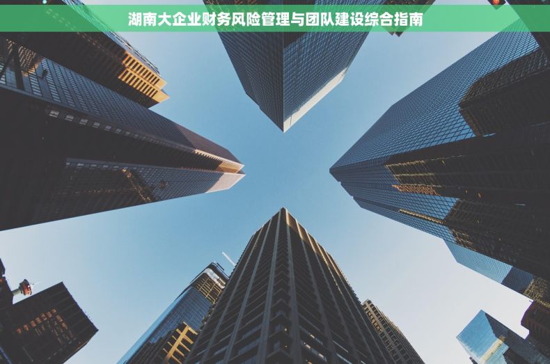 湖南大企业财务风险管理与团队建设综合指南