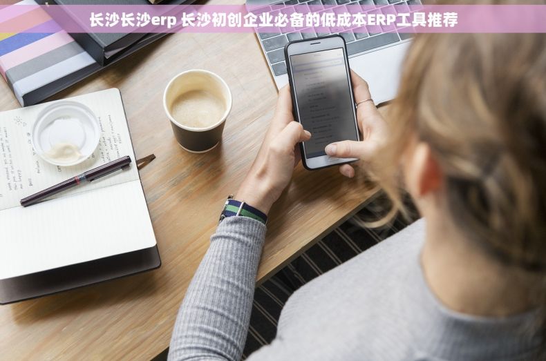 长沙长沙erp 长沙初创企业必备的低成本ERP工具推荐