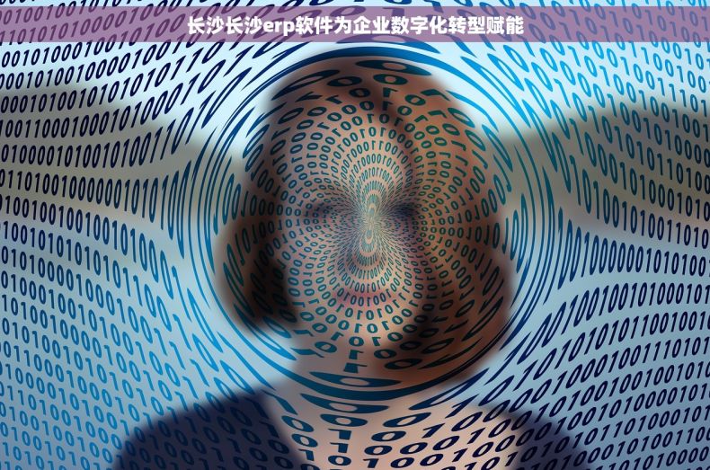 长沙长沙erp软件为企业数字化转型赋能