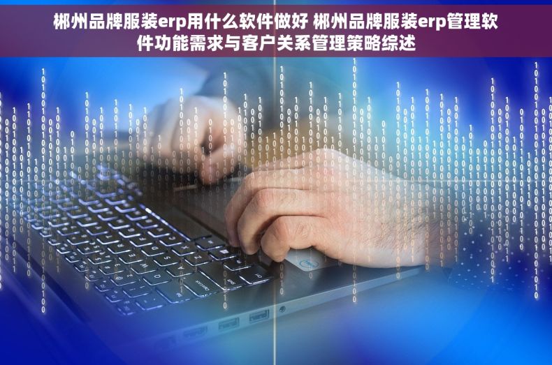 郴州品牌服装erp用什么软件做好 郴州品牌服装erp管理软件功能需求与客户关系管理策略综述