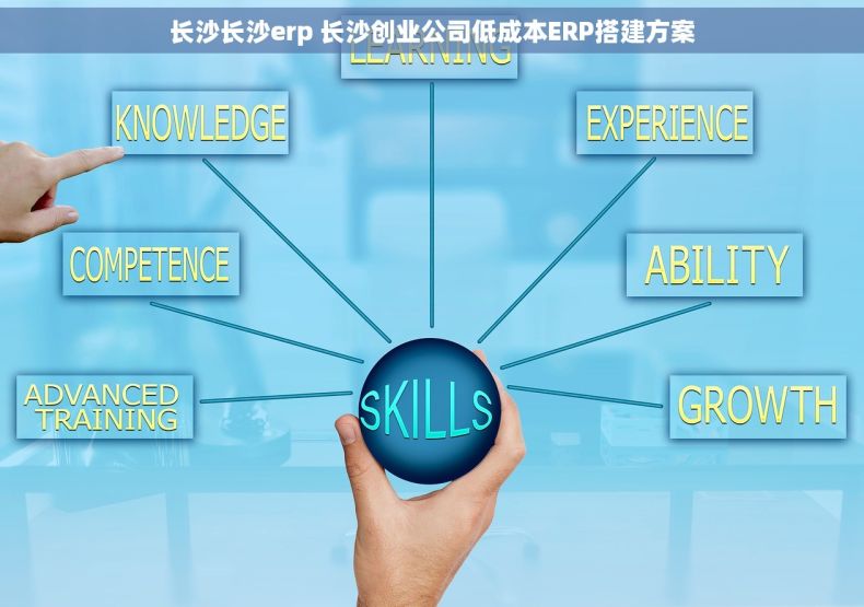 长沙长沙erp 长沙创业公司低成本ERP搭建方案
