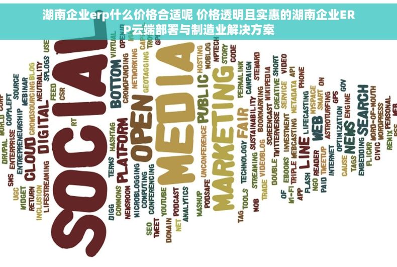 湖南企业erp什么价格合适呢 价格透明且实惠的湖南企业ERP云端部署与制造业解决方案