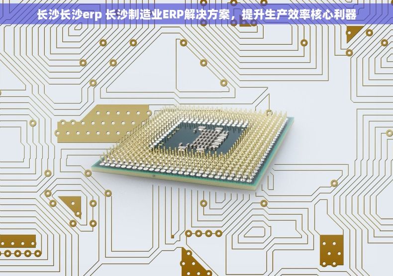 长沙长沙erp 长沙制造业ERP解决方案，提升生产效率核心利器