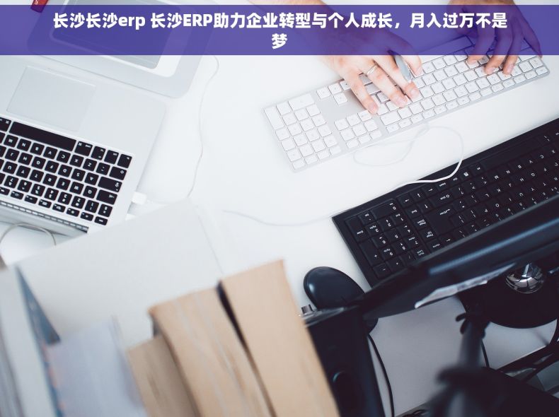 长沙长沙erp 长沙ERP助力企业转型与个人成长，月入过万不是梦